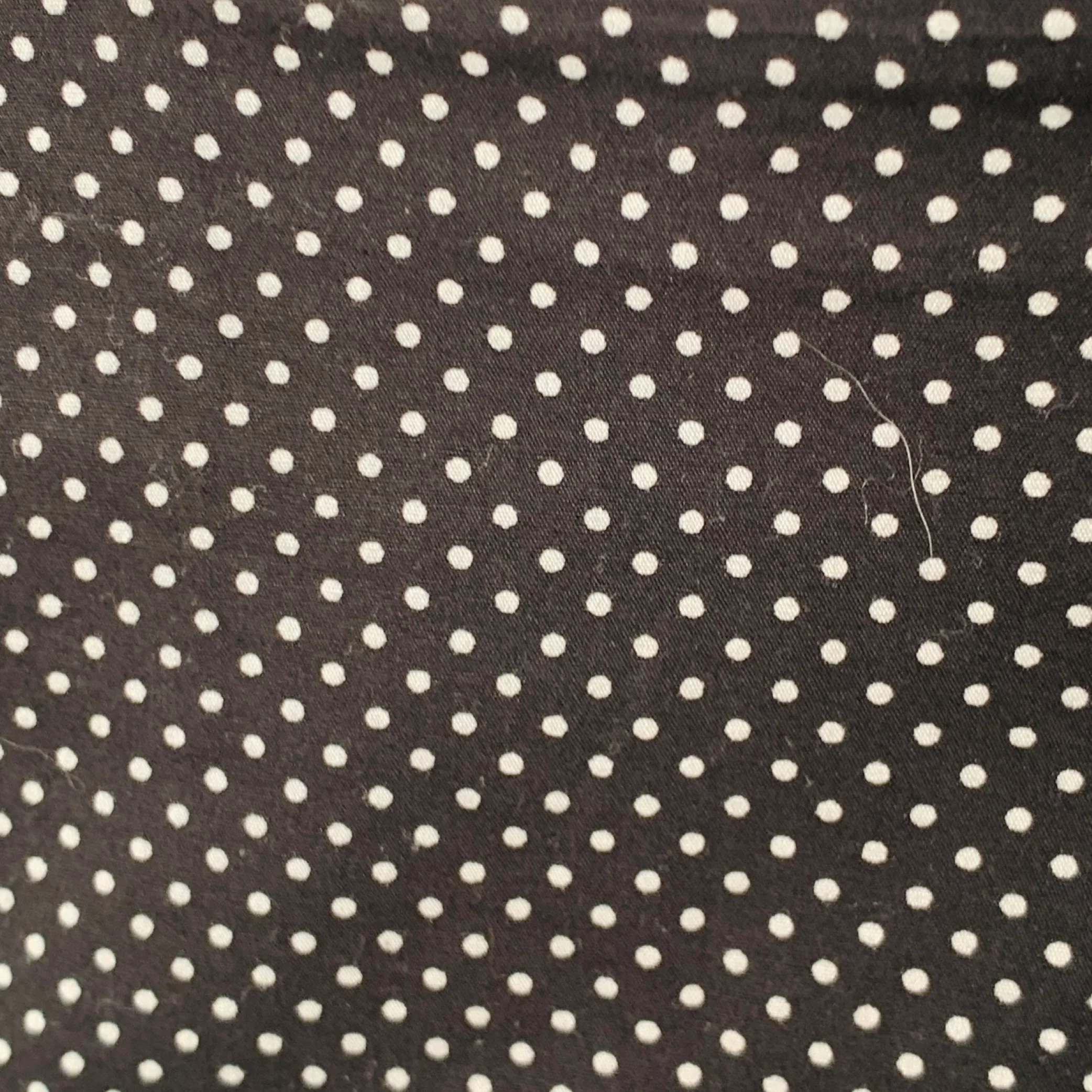 ENGINEERED GARMENTS Size 32 Black White Polka Dot Cotton Zip Fly Shorts - Image 2