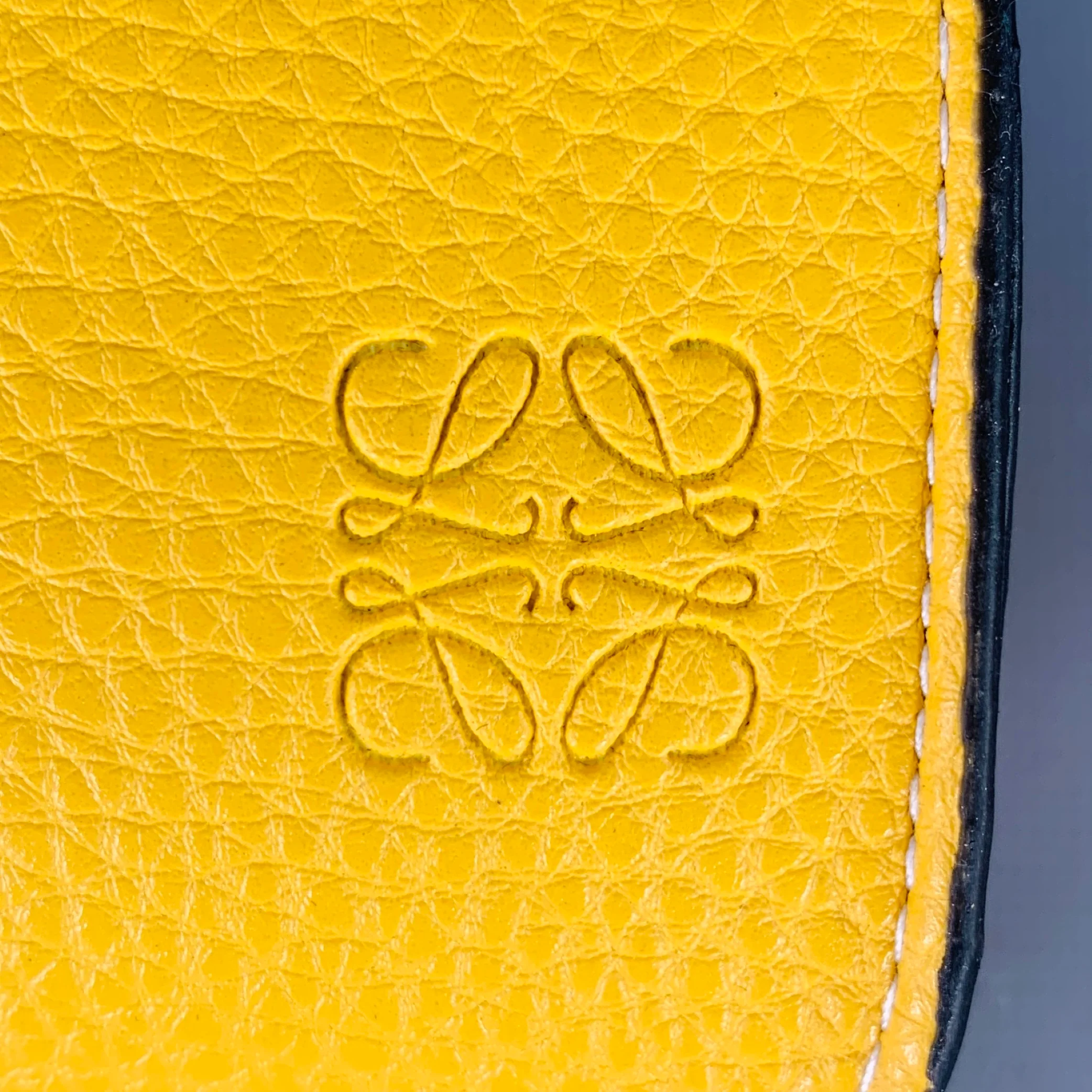 LOEWE x PAULA'S IBIZA White Green Acetate Two Tone Sunglasses - Image 9