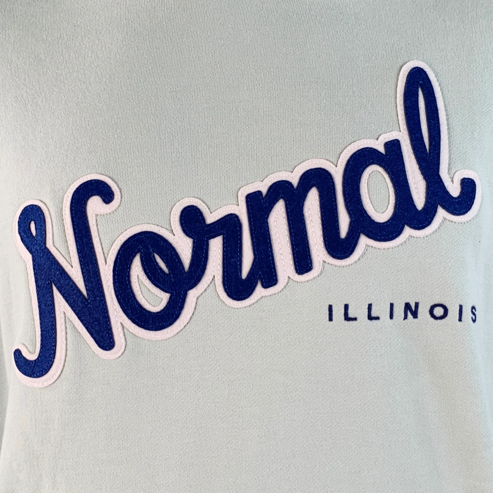 RIVIAN Size L Normal Light Blue Logo Cotton Hooded Sweatshirt - Image 2