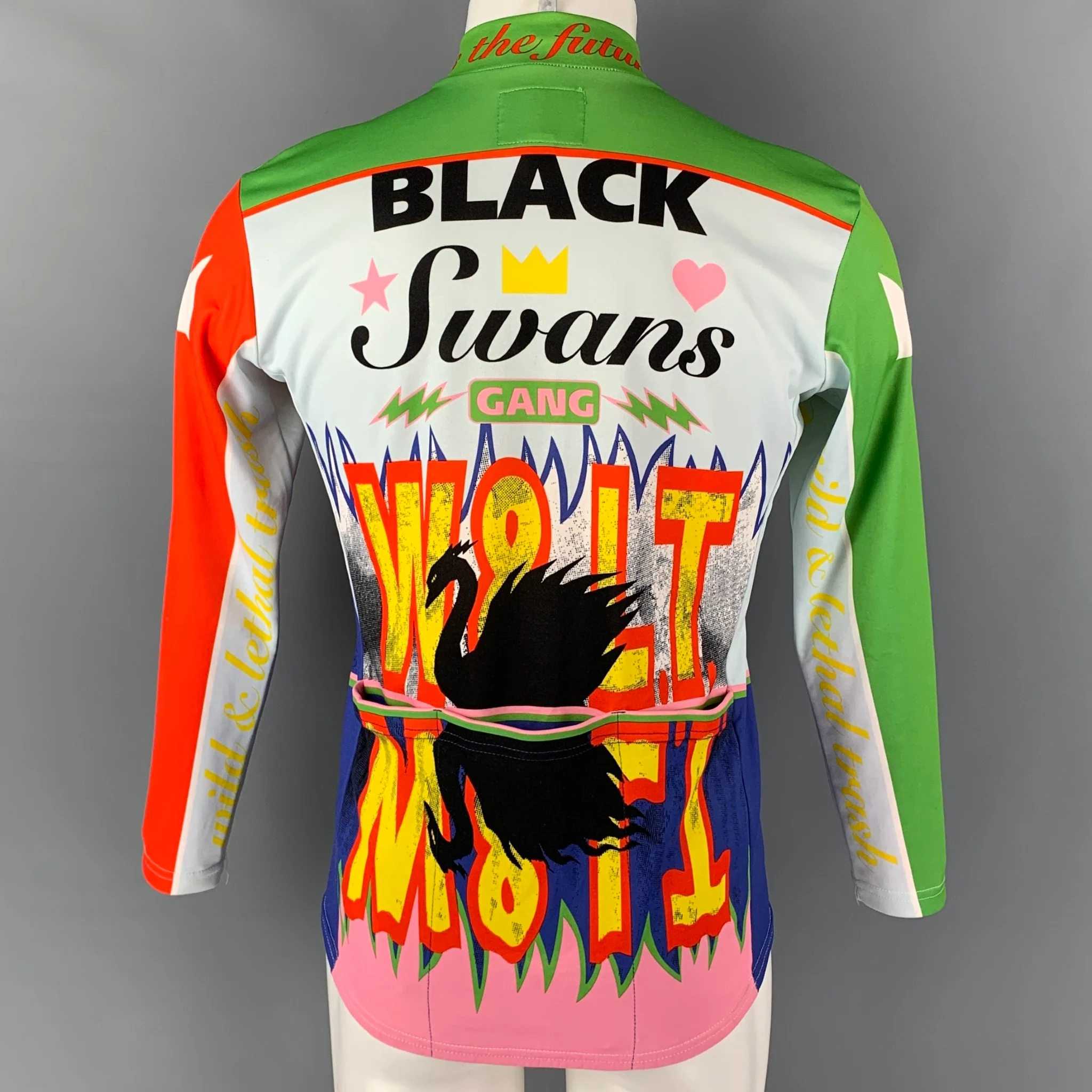 WALTER VAN BEIRENDONCK FW96 Size M Green Blue Black Swan Jersey Bike Top - Image 3